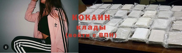 крисы Белоозёрский