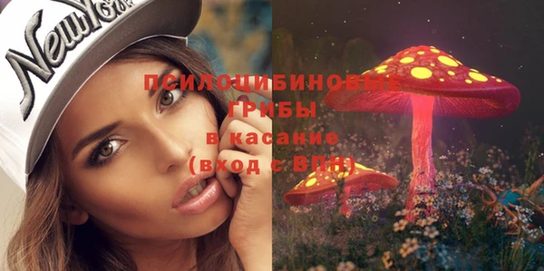 a pvp Белокуриха