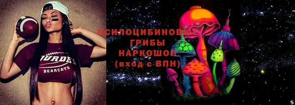 a pvp Белокуриха