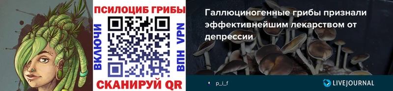 Псилоцибиновые грибы прущие грибы  купить наркотики цена  Воскресенск 